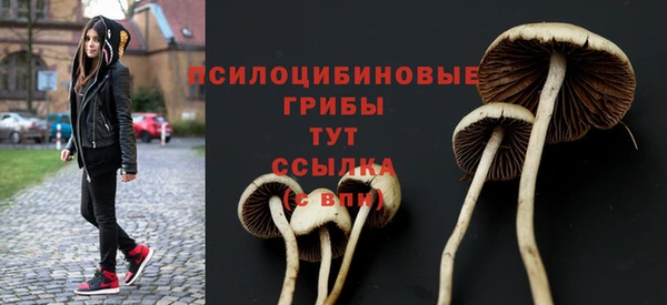 бошки Абдулино