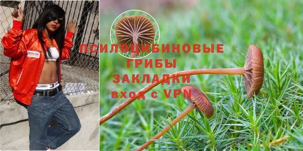 бошки Абдулино