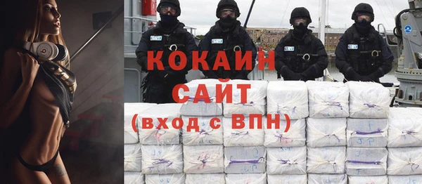 индика Россошь